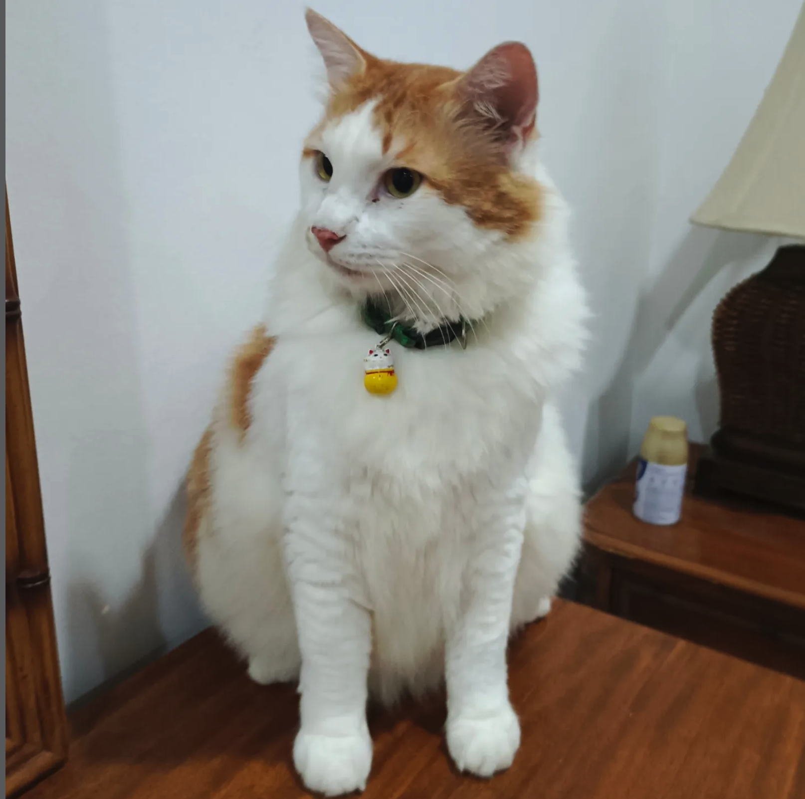 Leo